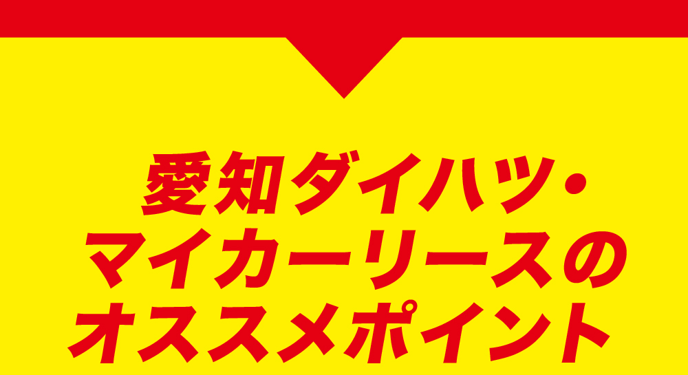 愛知ダイハツ・マイカーリースの オススメポイント